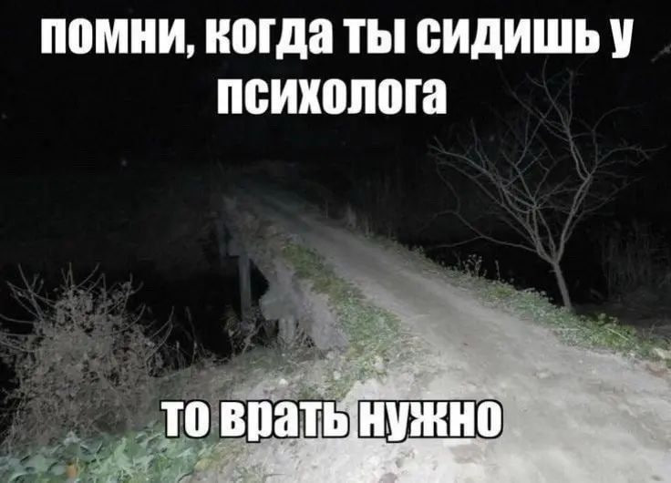 Слёт